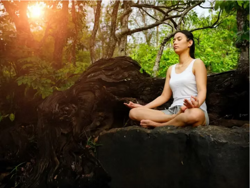 Woodland Mindfulness and Meditation Experience