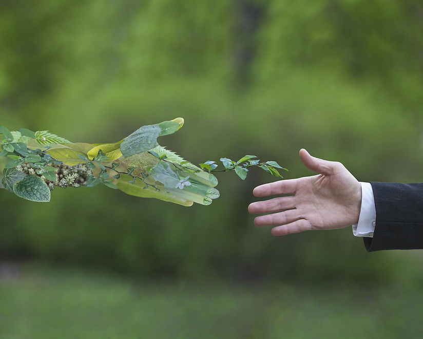 hand leaf.jpeg