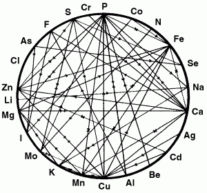 Mineral-Wheel-300x280.gif