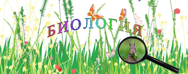 биология.gif