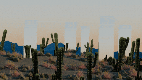 CACTUS.gif