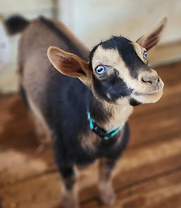 20230327_173530 (1).jpg