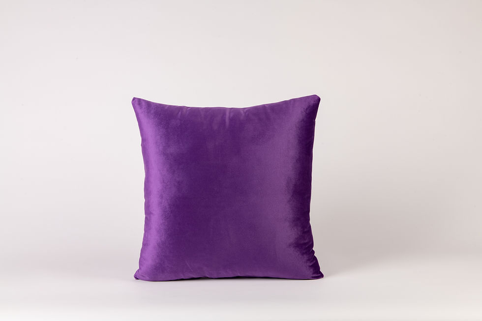 Thumbnail: Velvet Cushion Covers