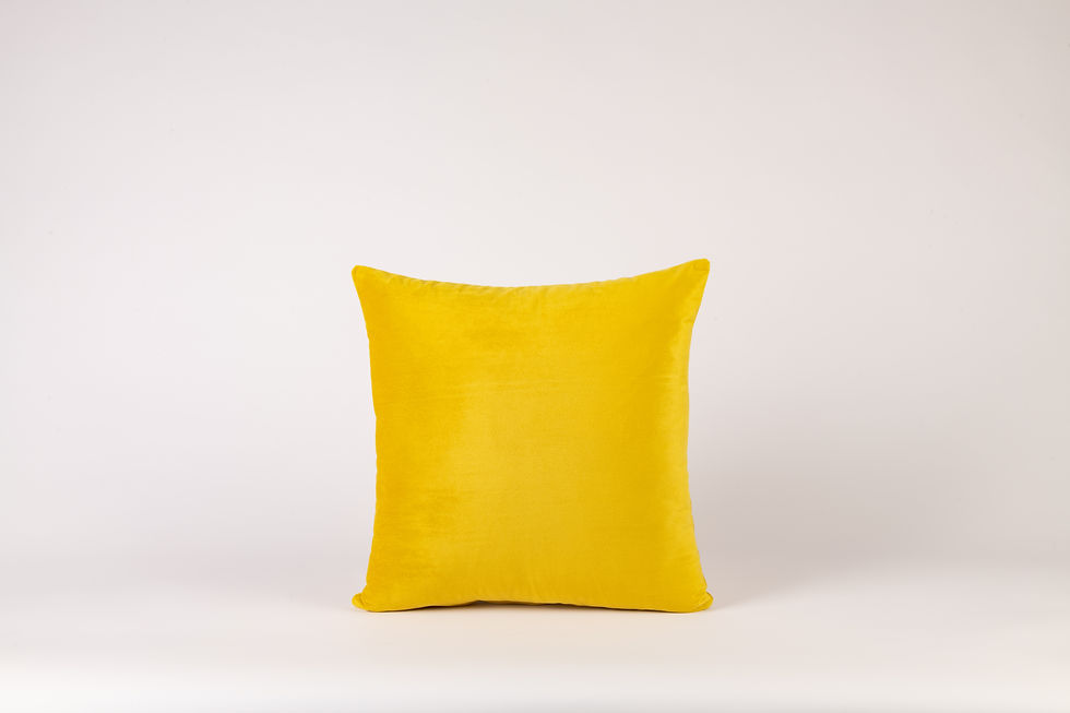 Thumbnail: Velvet Cushion Covers