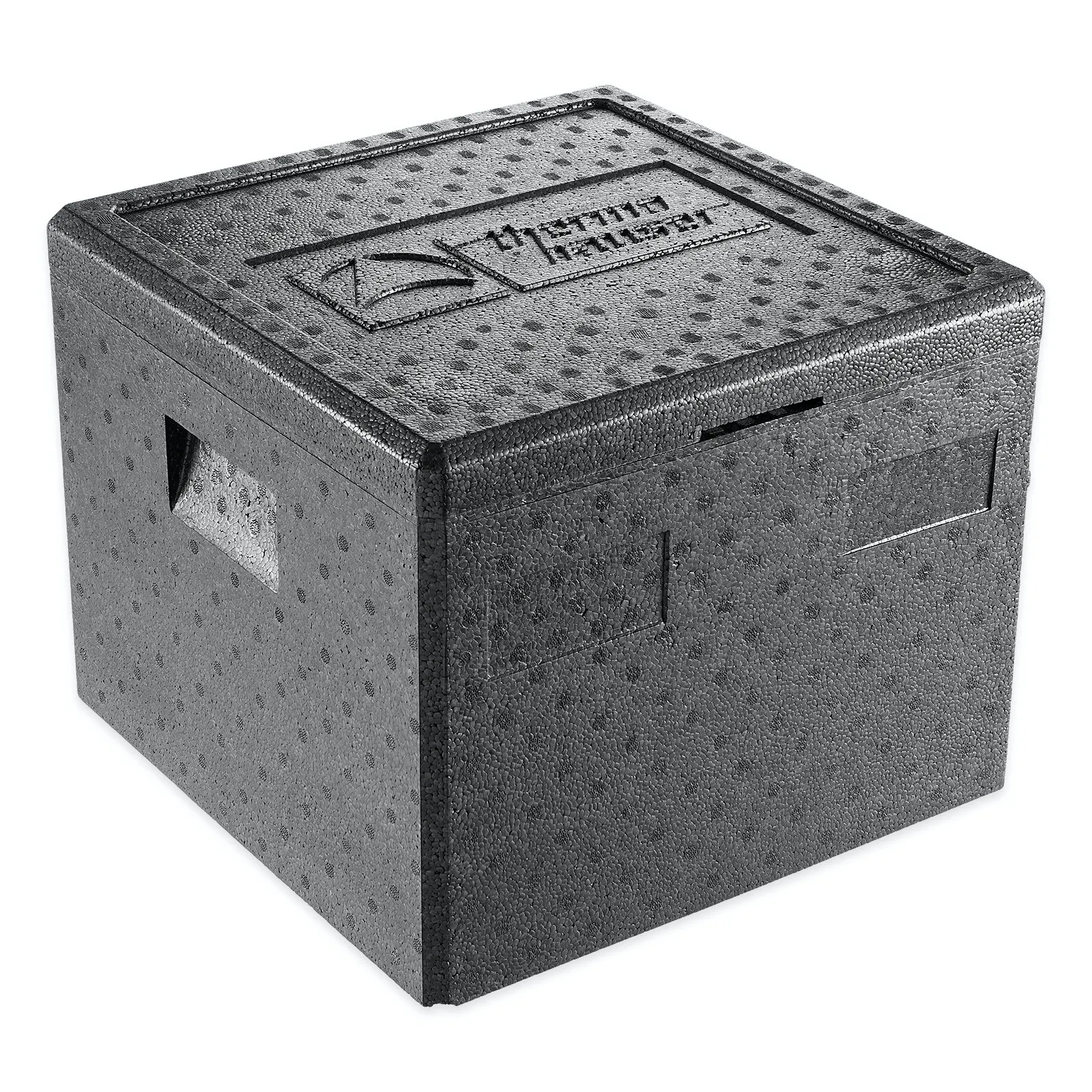 Thermobox Verleih Passau Eiswürfel kaufen - Party - Cocktails