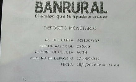 Ejemplo Boleta.jpg