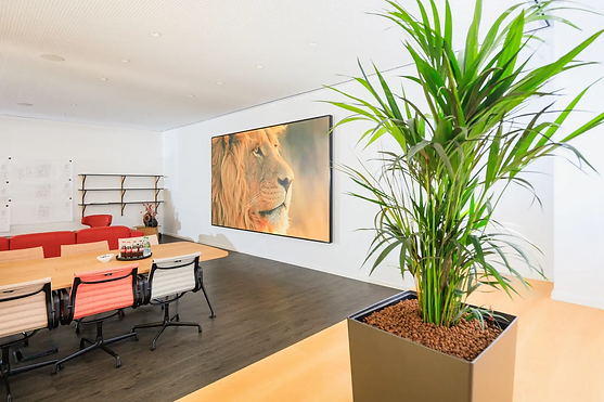 philips-led-videowall.webp