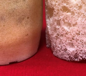 Everwide Newsletter No.279