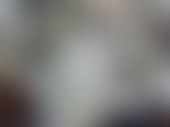 Everwide Newsletter No.352