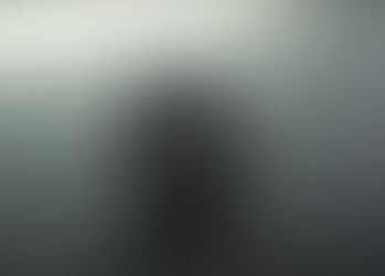 Everwide Newsletter No.179