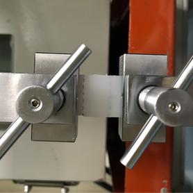 Everwide Newsletter No.324