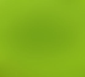 Everwide Newsletter No.165