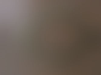 Everwide Newsletter No.259