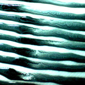 Everwide Newsletter No.145