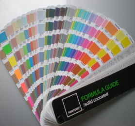 Everwide Newsletter No.205