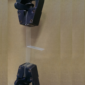 Everwide Newsletter No.203