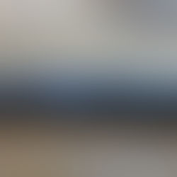 Everwide Newsletter No.225