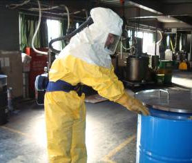 Everwide newsletter No.87