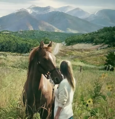 Young woman in a field with a horse looking off in the distance over a beautiful valley.