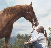 Girl with a beautiful horse