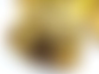 Século XVII, o século de ouro da relojoaria (1ª Parte)