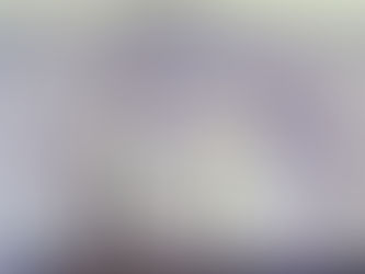 WorldSkills Portugal - o veredicto