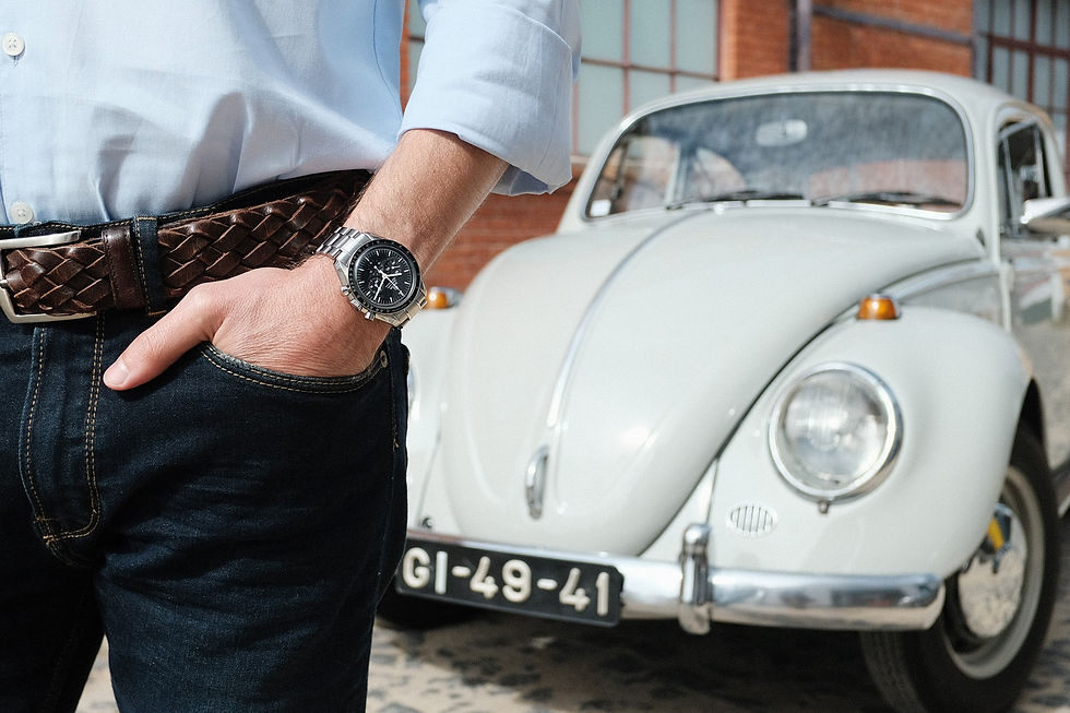 "The Beetle and The Watch Bug"
