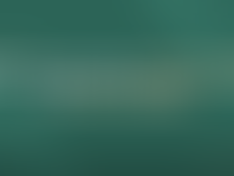 Cómo Obtener tu Certificado de Sello Digital (CSD) en México – Guía Paso a Paso