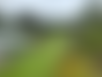 Discredited Newspaper claims of allotment holder fee increase being "rumours" found to be false.....