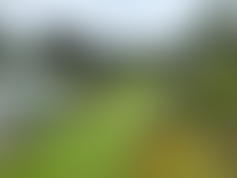 Local Council Confirms 10% Allotment Rent Increase – But Was It Avoidable?