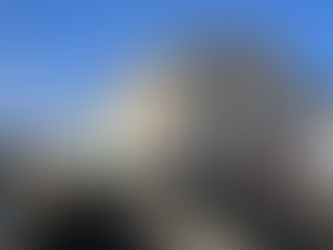 Brash’s Hartlepool Triumphs? A Labour Spin on Tory Foundations....