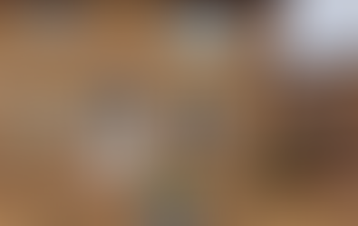 Number of Closure Orders Rising: Is Thirteen Losing Control of Its Housing Stock?