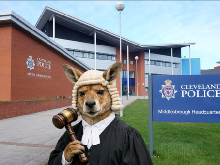 Inside Cleveland Police Misconduct Panels: Claims of a Culture of Silence & Corruption 