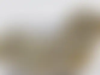 Counting the Cost of Voting Reform: County Durham Residents Set to See 100% Council Tax Support Cut...