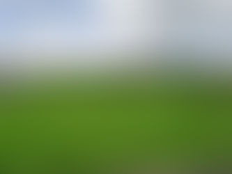 Plans for Nine New Build Bungalows Finally Approved After Two-Year Wait....