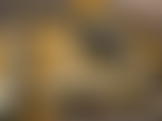 Hartlepool Borough Council Set for a 2026 Power Shift Under Projected Reform UK Wins...