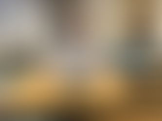 Hartlepool’s Development Corporations disclaimed audit – and the Labour chair now left holding the poison chalice