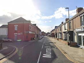 Family Left Devastated, After Beloved Cat Returns 'shaven' & 'cut' and Later Died from His Injuries...