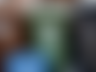 'Wheelie Expensive', Hartlepool Borough Council charging extortionate rates to replace lost or stolen bins...