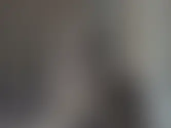 A Surge in Dog Seizures by Cleveland Police: Are Breed Bans Effective or Just Misguided?