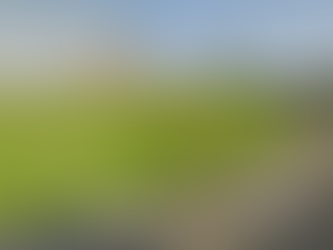 Cheap Land, Big Questions: Hartlepool Plot Listed For Auction.... But Who's Buying ?