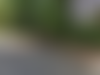 West Park Wonder: £2.5 Million Plot of Land Hits the Market – But Will It Ever Be Built On?