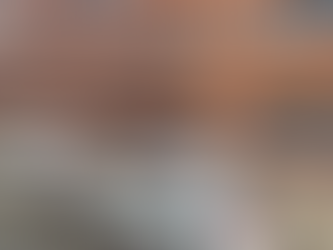 Dangerous Driving Cop Avoids The Sack, Despite Injuring Fellow Officer..