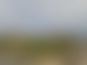 New Business Units Planned for Former Havelock Day Centre....