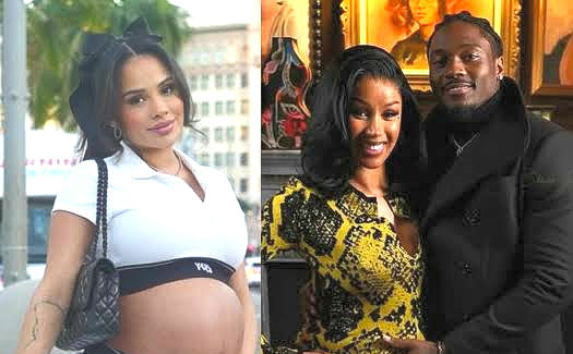 Stefon Diggs baby allegations