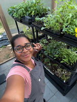 Farmer Mel in front of seedlings in the greenhouse.
