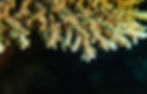 DSC00398_edited.jpg