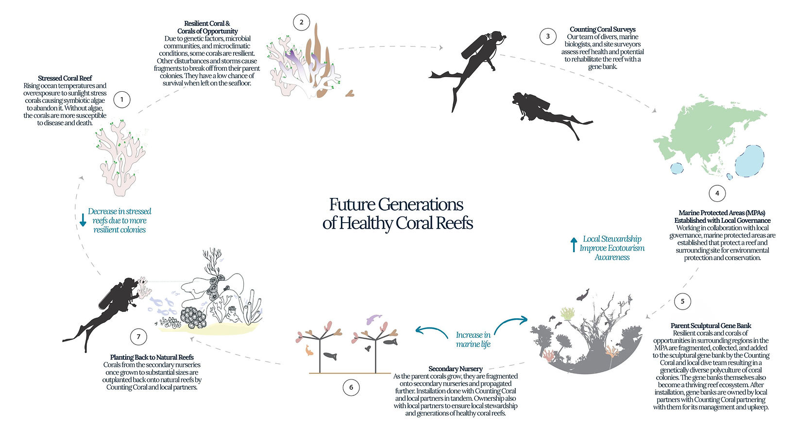 Counting Coral Deck.jpg