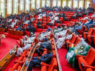 Senate Moves to Rescue Nigerian Women, Children from Libyan Prisons