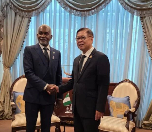 Nigeria moves to strengthen strategic partnership with Thailand